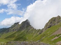 DSC 7849