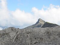 DSC 7868