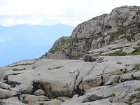 DSC 7886