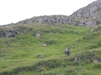 DSC 7888