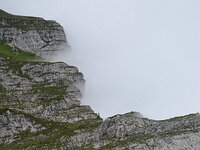 DSC 7905