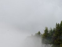 DSC 7910