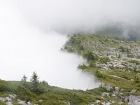 DSC 7913