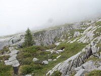 DSC 7922
