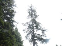 DSC 7930