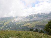 DSC 7932