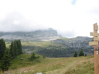 DSC 7940