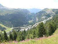 DSC 7942