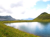 DSC 7943