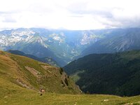 DSC 7955