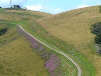 DSC 7966