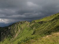 DSC 7970