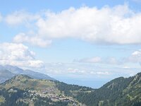 DSC 7993