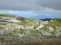 DSC 8001