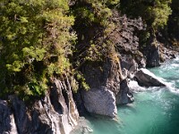NZ