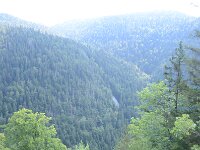 DSC 8051