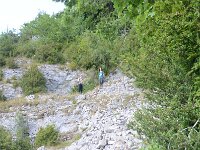 DSC 8055