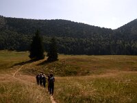 DSC 8080