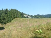 DSC 8083