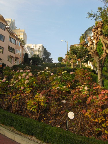 Diapositive sf2009-12-19_57.jpg (155ko)