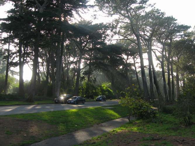 Diapositive sf2009-12-20_06.jpg (250ko)