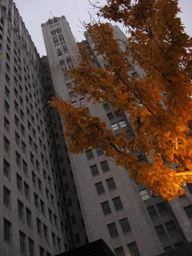 Diapositive sf2009-12-21_12.jpg (133ko)