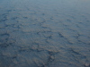 Vignette sf2009-12-13_06.jpg 