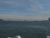 Vignette sf2009-12-18_21.jpg 